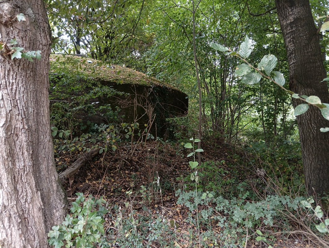 IMG20250823155902.jpg