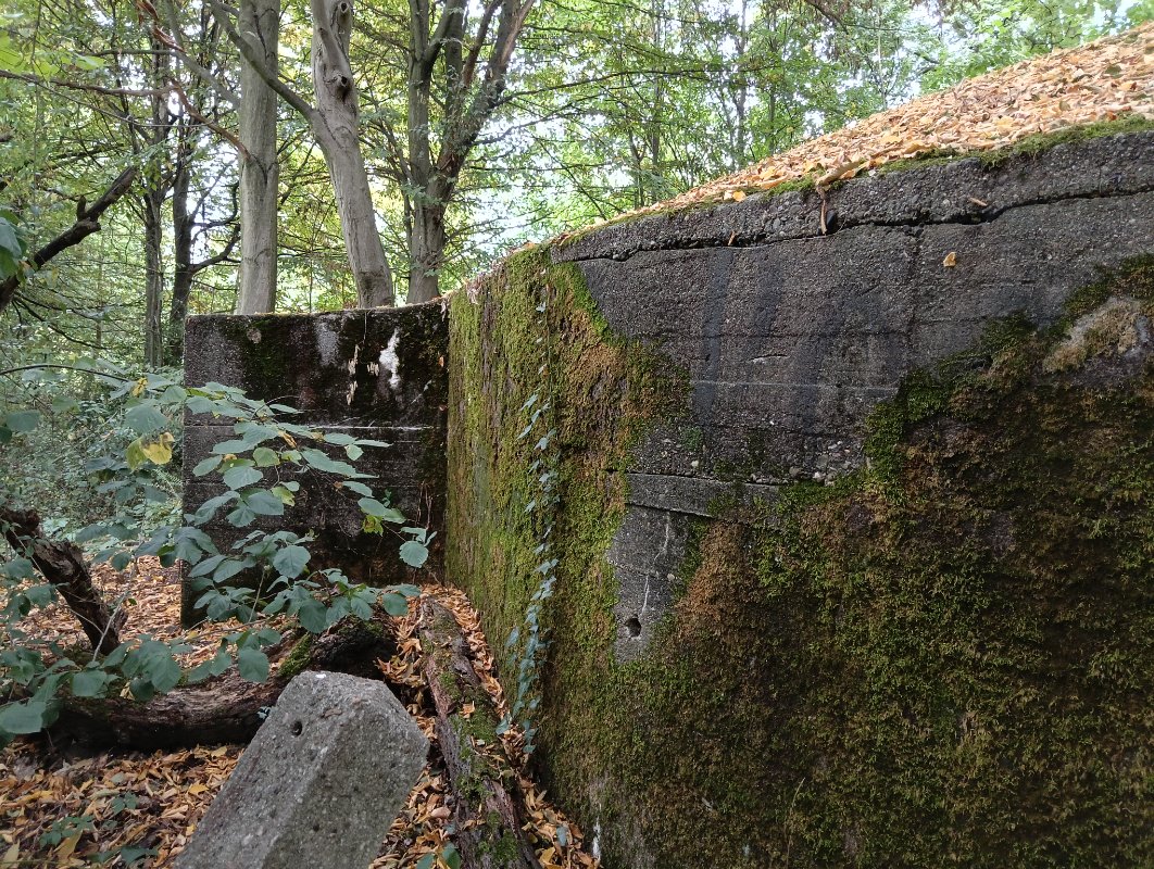 IMG20250823155950.jpg