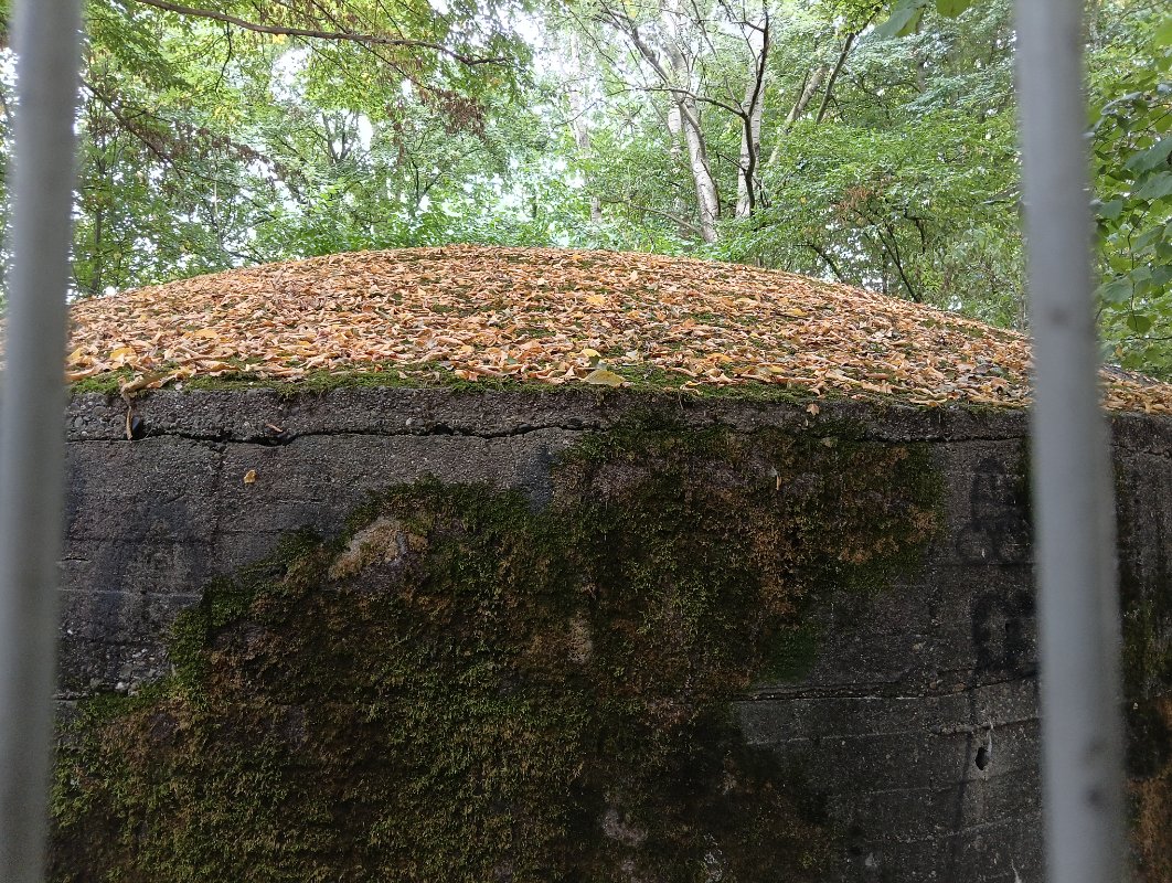 IMG20250823155959.jpg