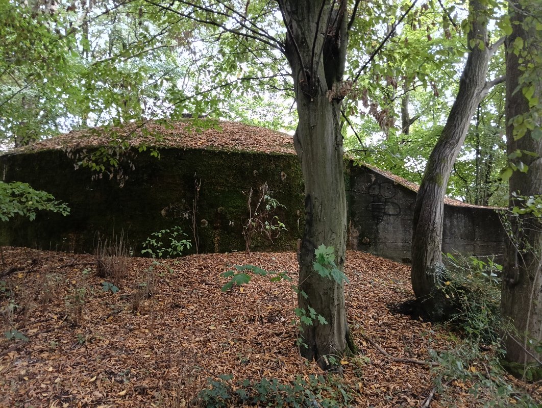 IMG20250904164405.jpg