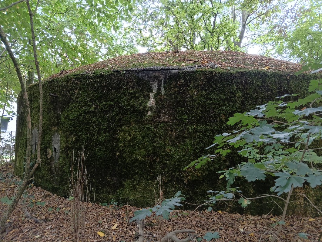 IMG20250904164453.jpg