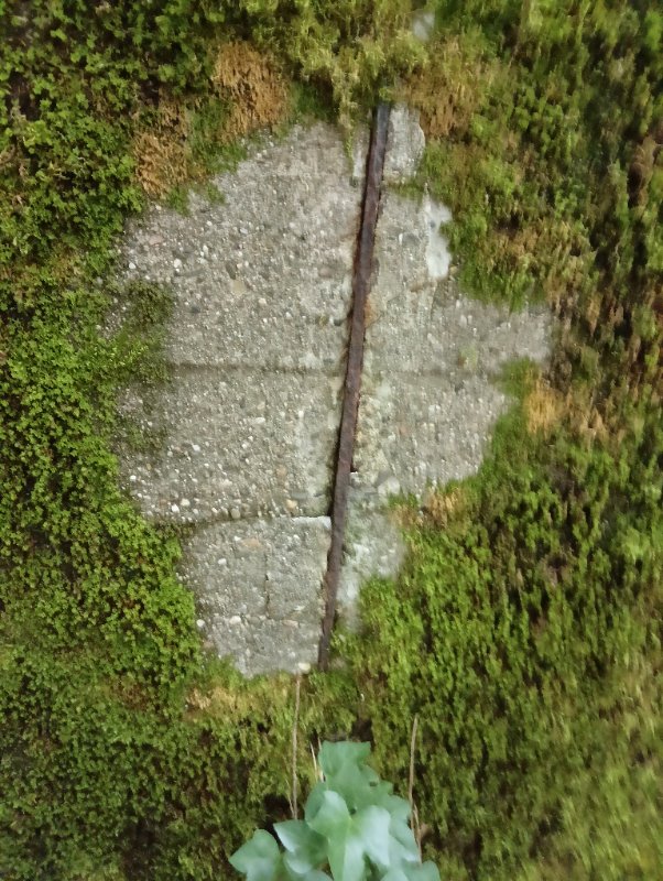 IMG20250904164528.jpg