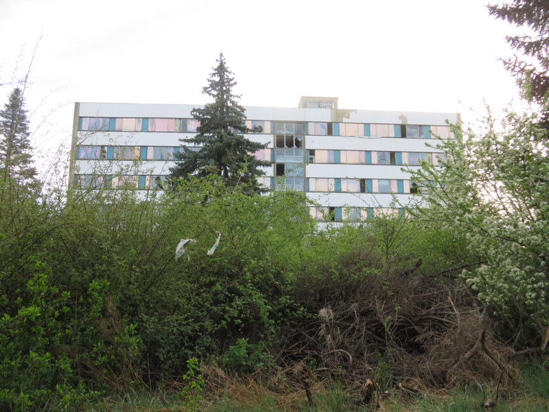 IMG_0039.JPG