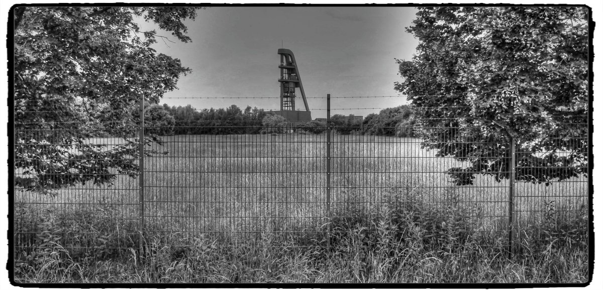 IMG_0127_Fotor.jpg