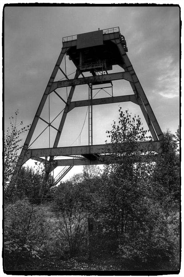 IMG_0210_Enhancer.jpg