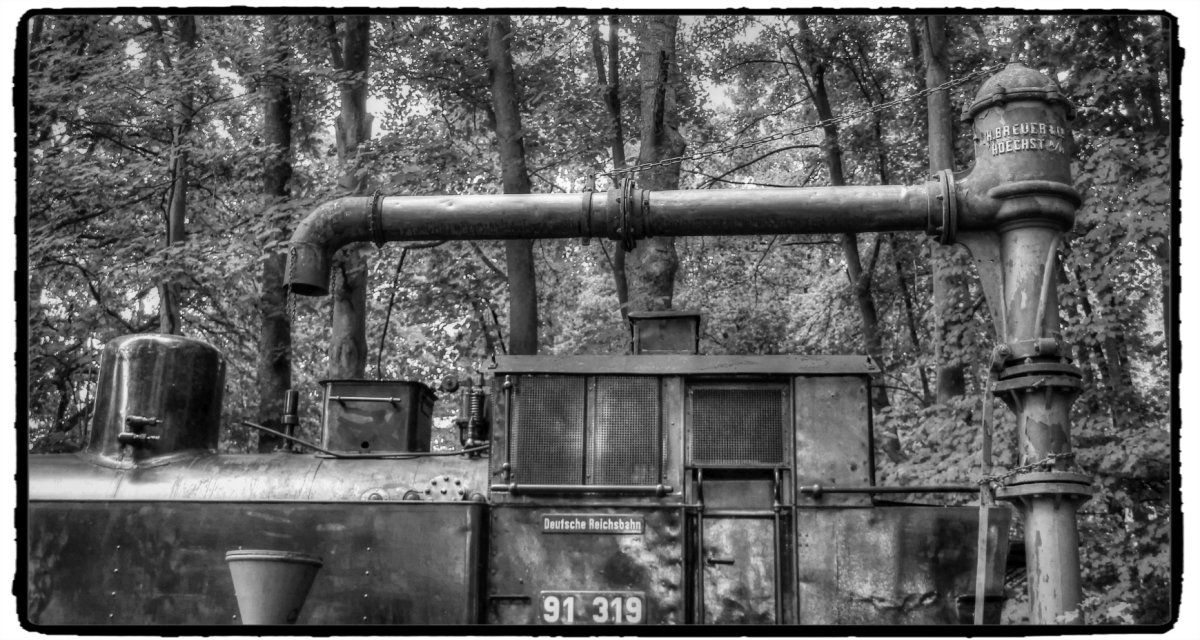 IMG_0244_Fotor.jpg