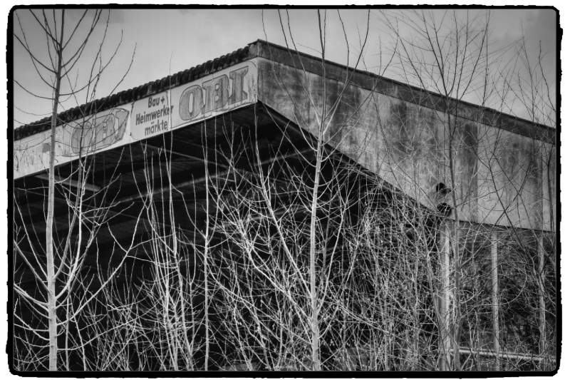 IMG_0262_Enhancer.jpg