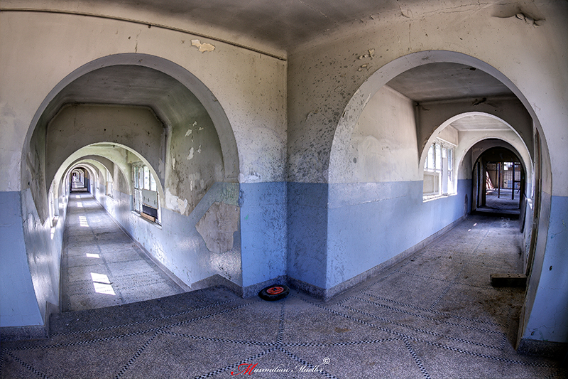 IMG_0303_4_5_6_7_8_9_fused.jpg