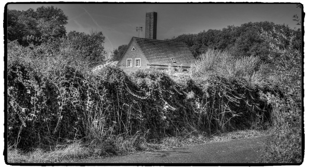 IMG_0473_Fotor.jpg
