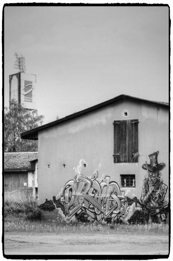 IMG_0502_Enhancer.jpg
