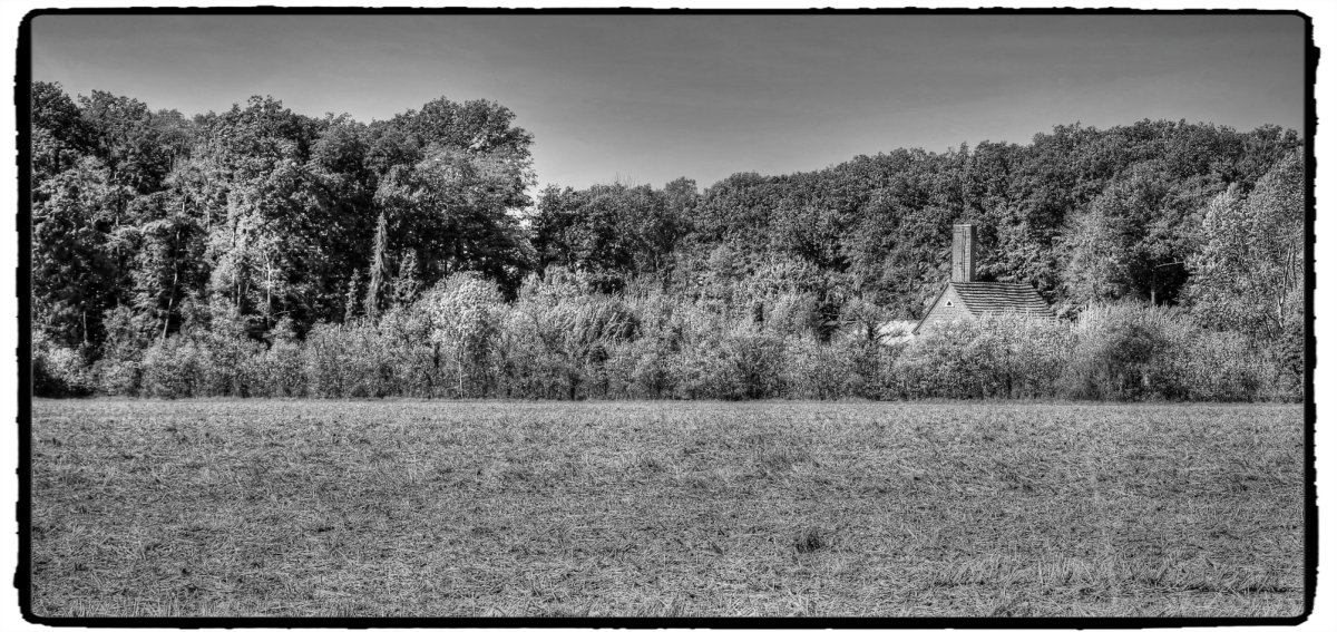 IMG_0531_Fotor.jpg