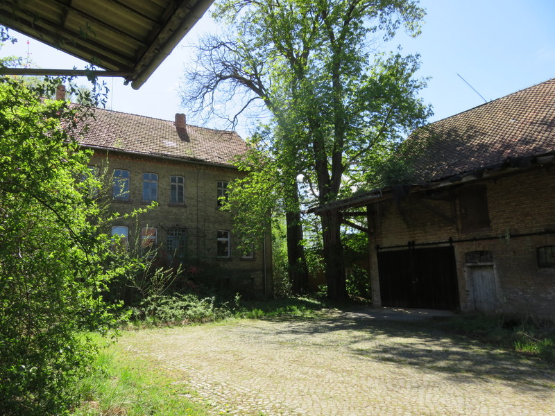 IMG_0785.JPG