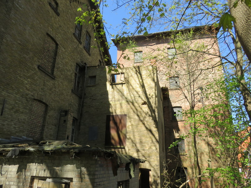 IMG_0801.JPG