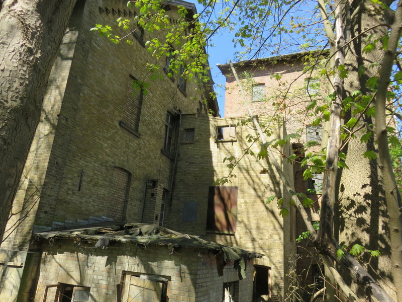 IMG_0804.JPG