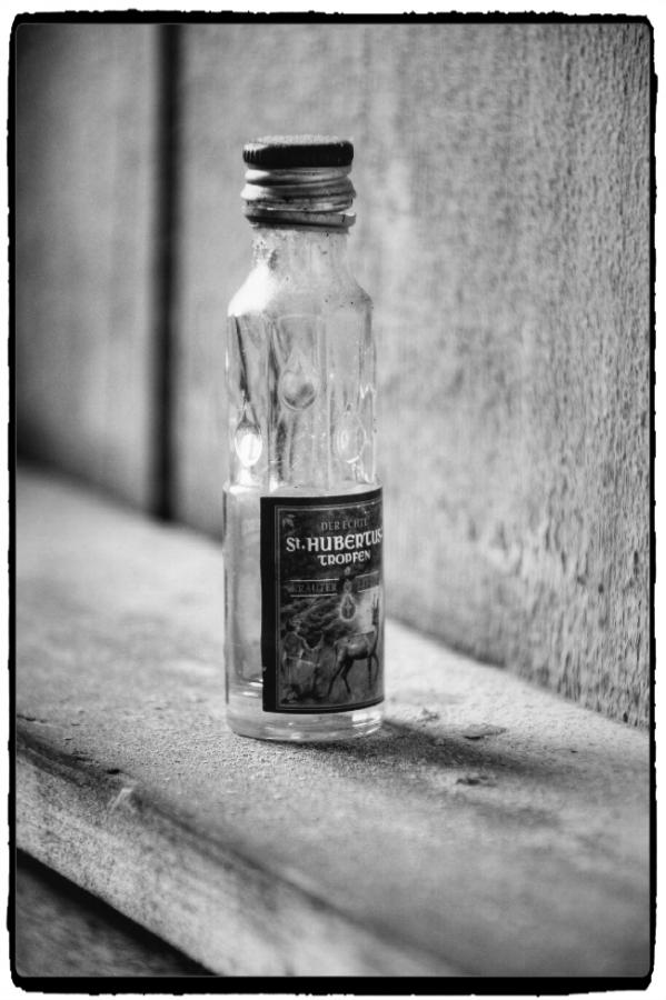 IMG_0951_Enhancer.jpg
