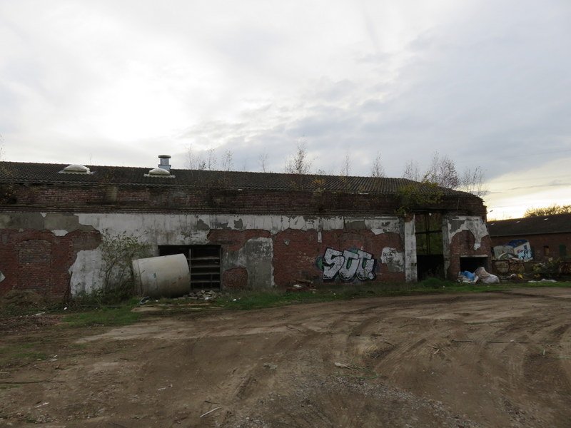 IMG_1007.JPG