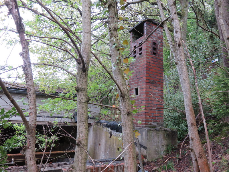 IMG_1667.JPG