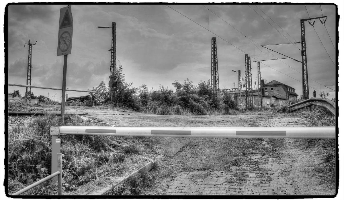 IMG_1772_Fotor.jpg