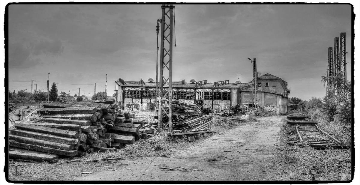 IMG_1775_Fotor.jpg