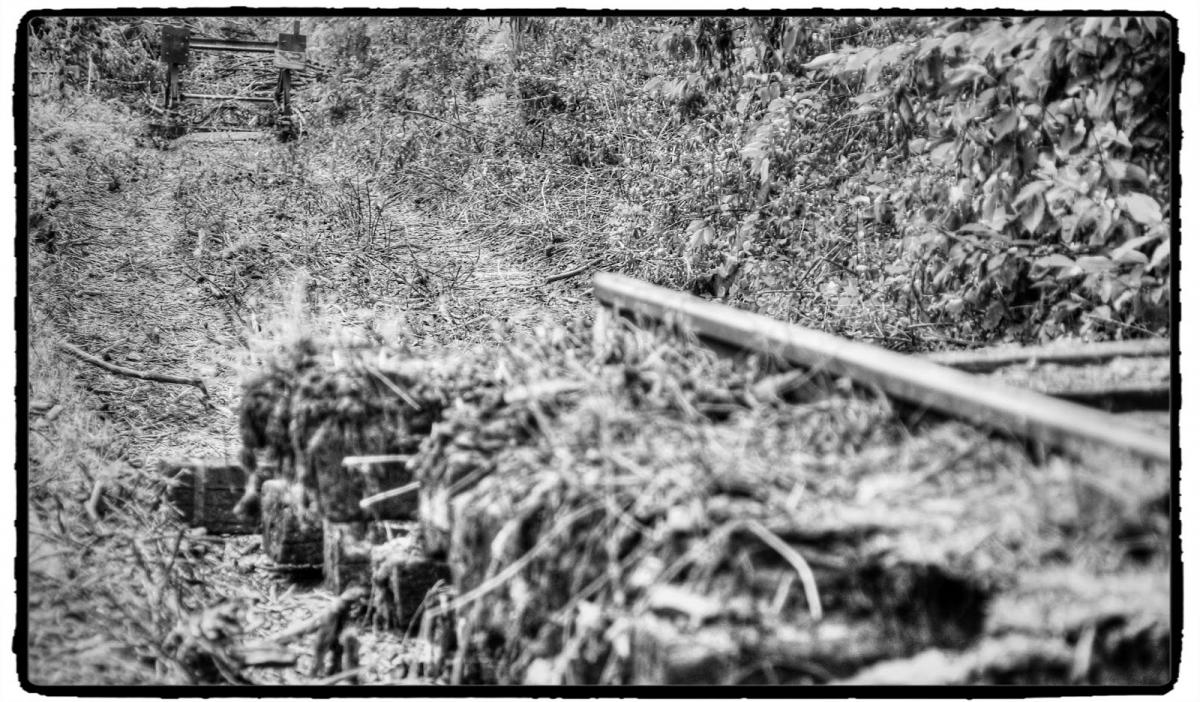 IMG_1788_Fotor.jpg