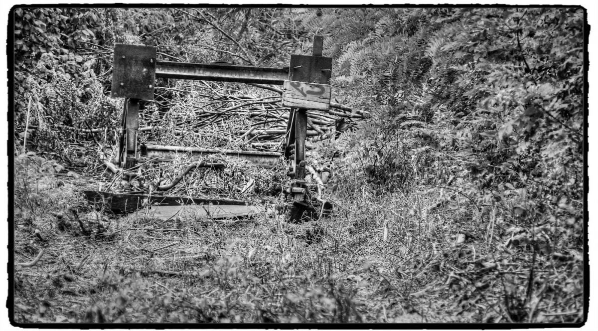 IMG_1792_Fotor.jpg