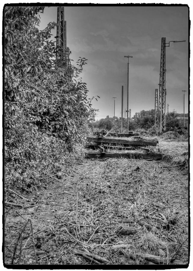 IMG_1793_Fotor.jpg