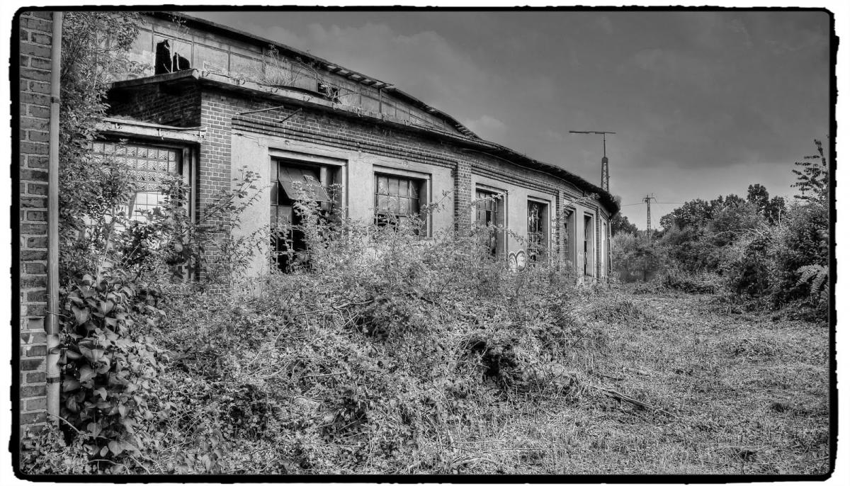 IMG_1800_Fotor.jpg
