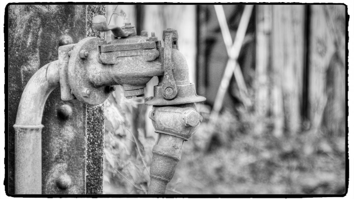 IMG_1812_Fotor.jpg