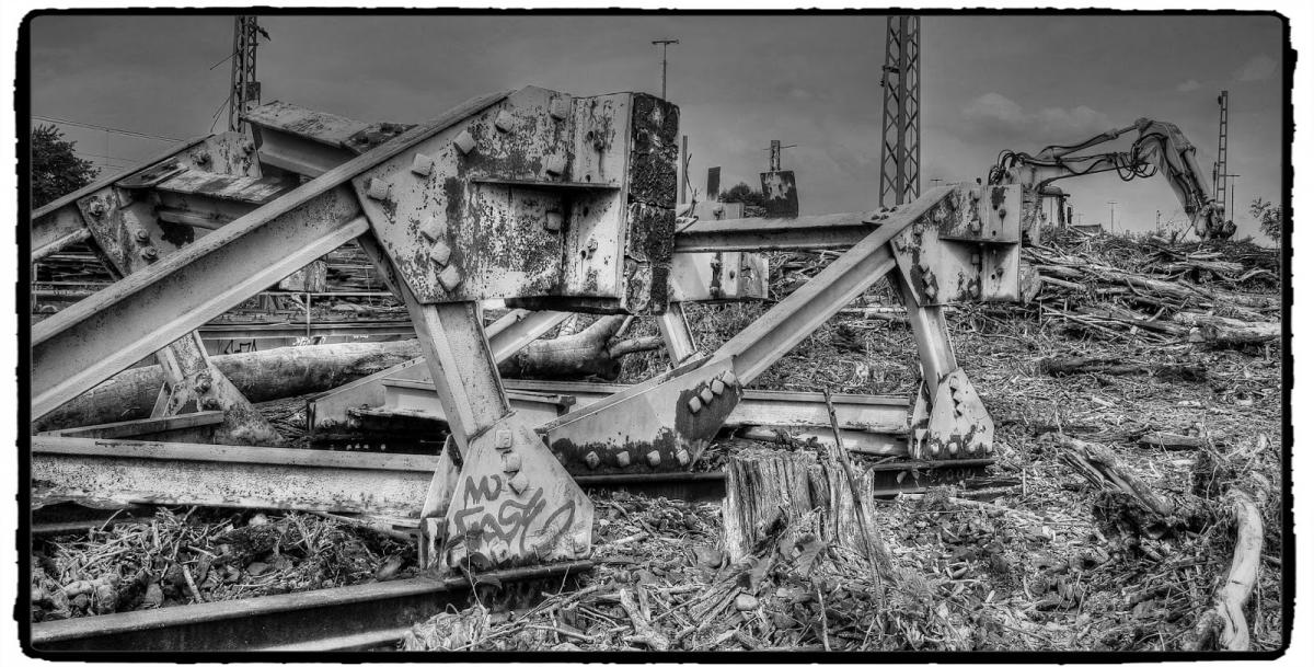 IMG_1820_Fotor.jpg
