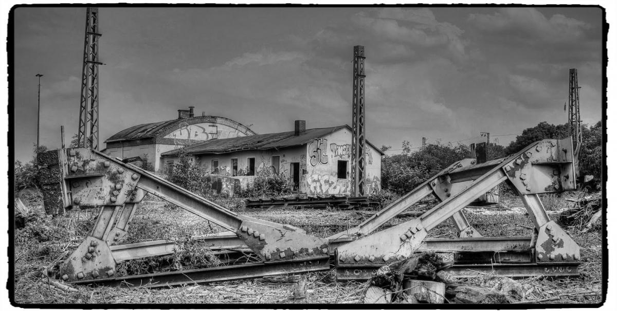IMG_1822_Fotor.jpg