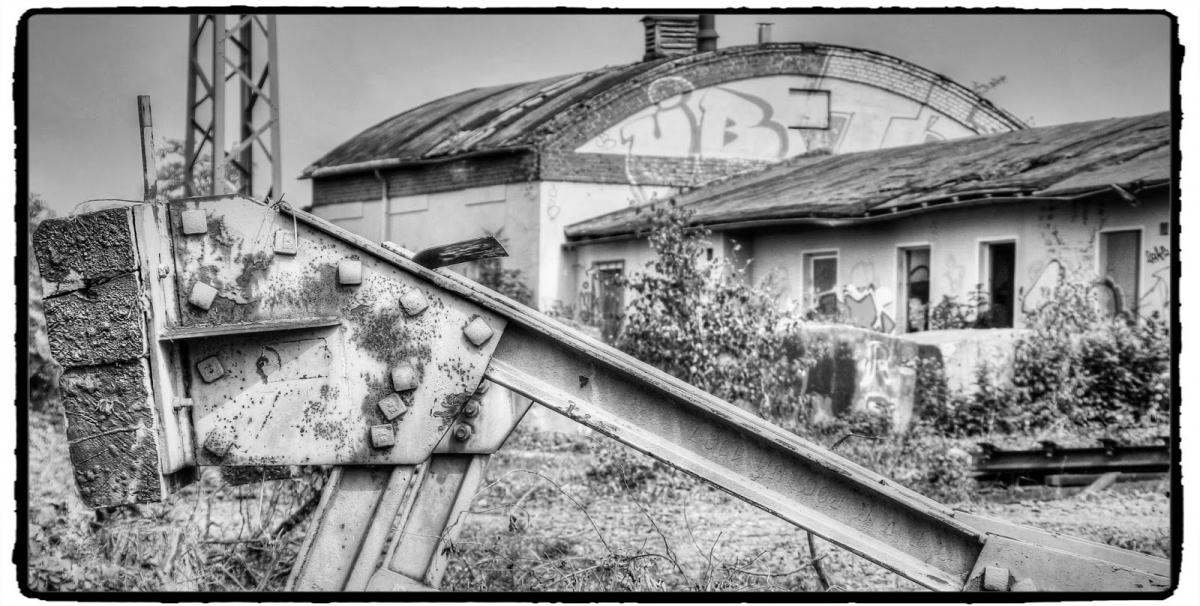 IMG_1824_Fotor.jpg