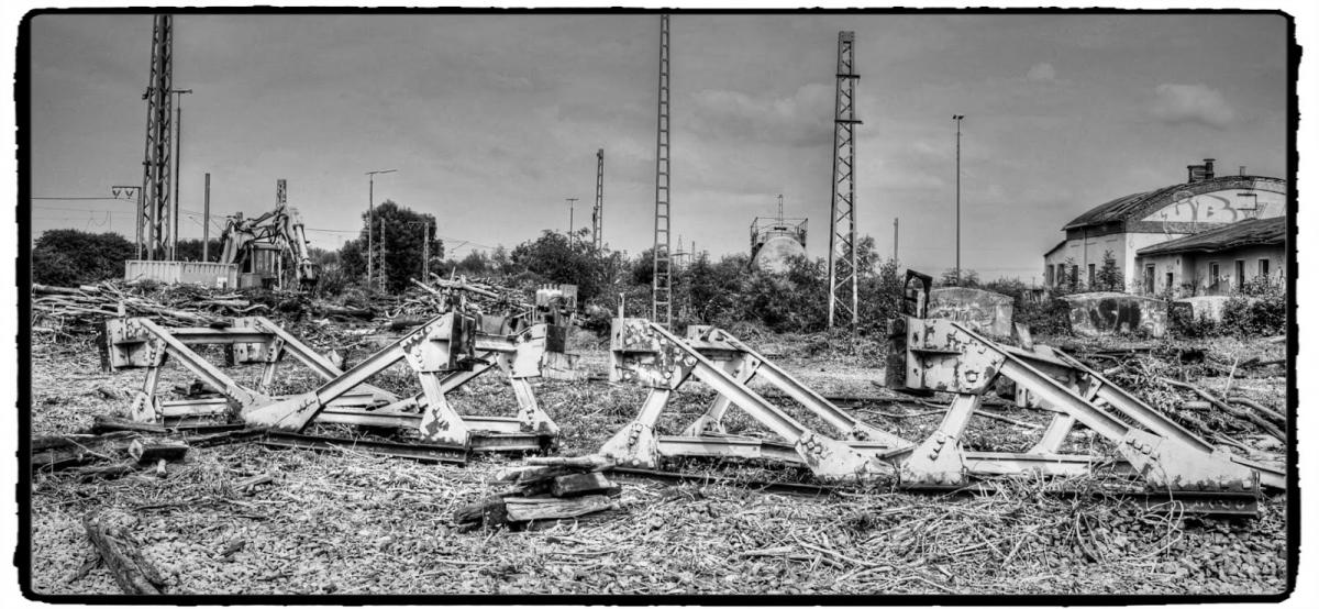 IMG_1826_Fotor.jpg