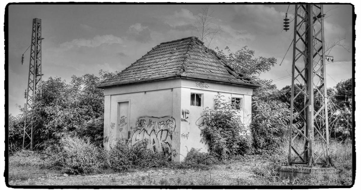 IMG_1830_Fotor.jpg