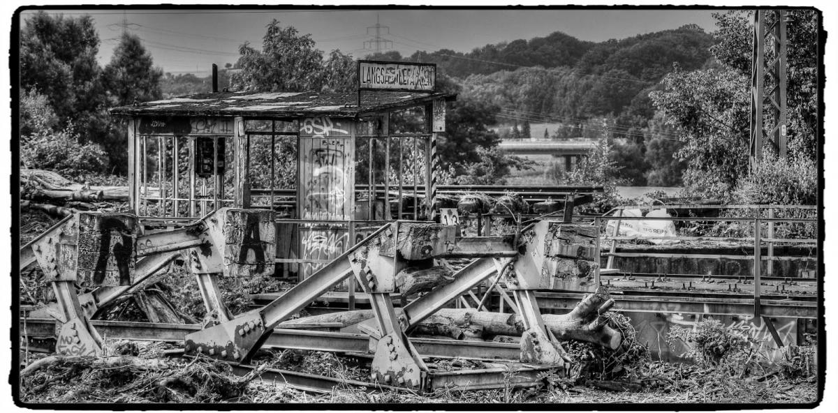 IMG_1833_Fotor.jpg