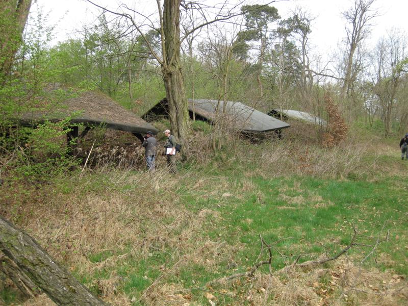 IMG_1834 (Medium).JPG