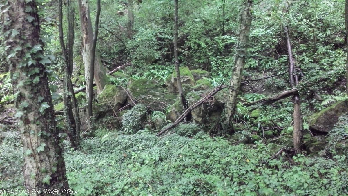 IMG_20150907_174332_453-2.jpg