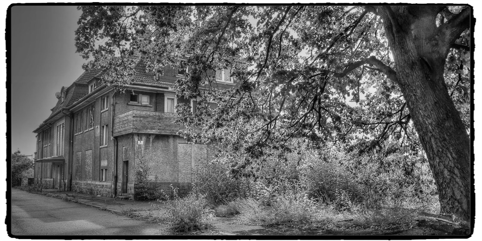 IMG_3033_Fotor.jpg