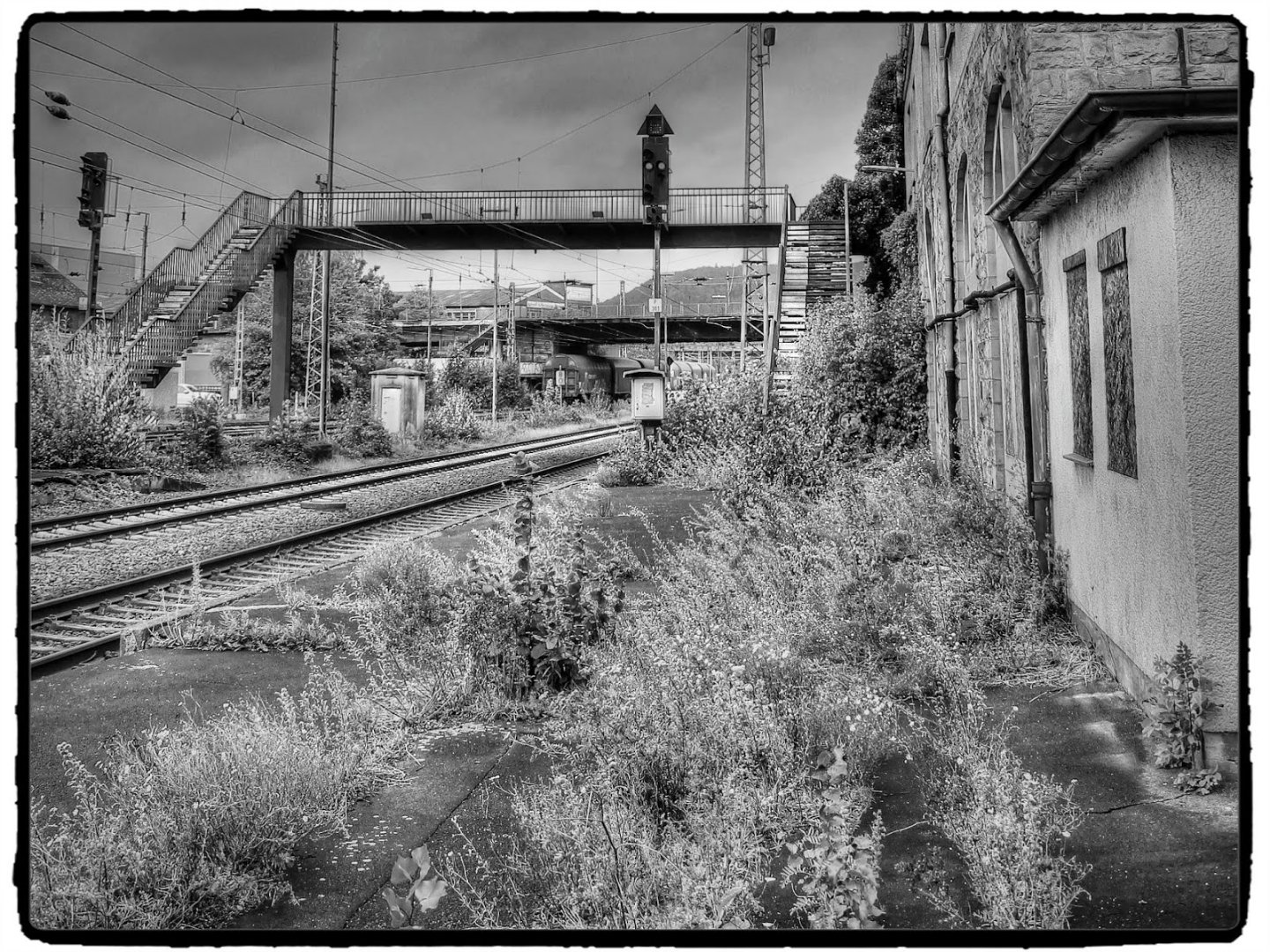 IMG_3066_Fotor.jpg
