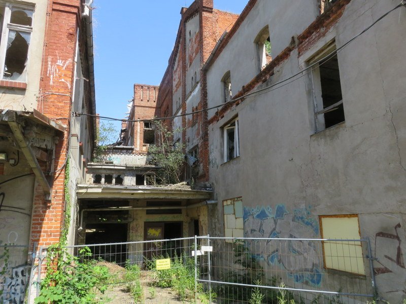 IMG_3785.JPG