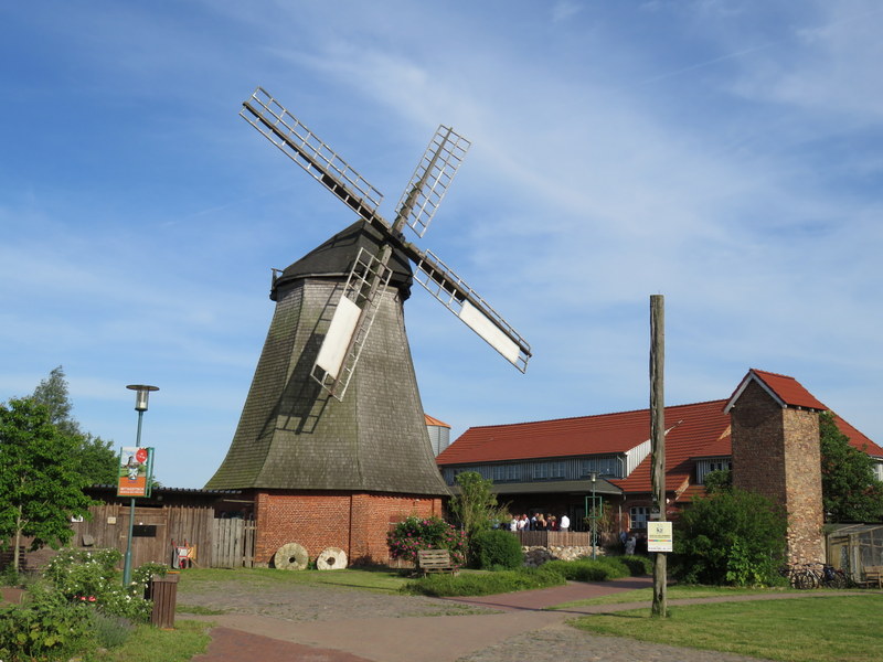 IMG_4339.JPG