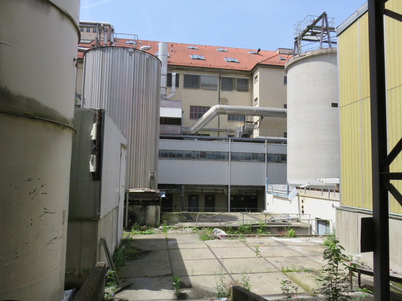 IMG_4426.JPG