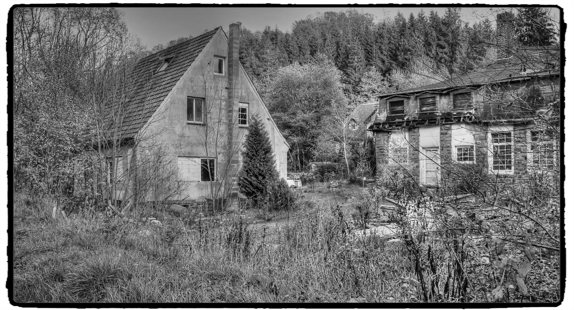 IMG_5408_Fotor.jpg