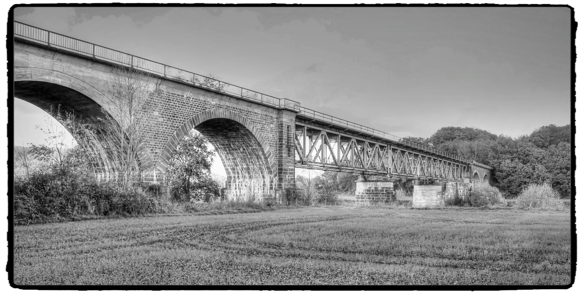 IMG_5446_Fotor.jpg