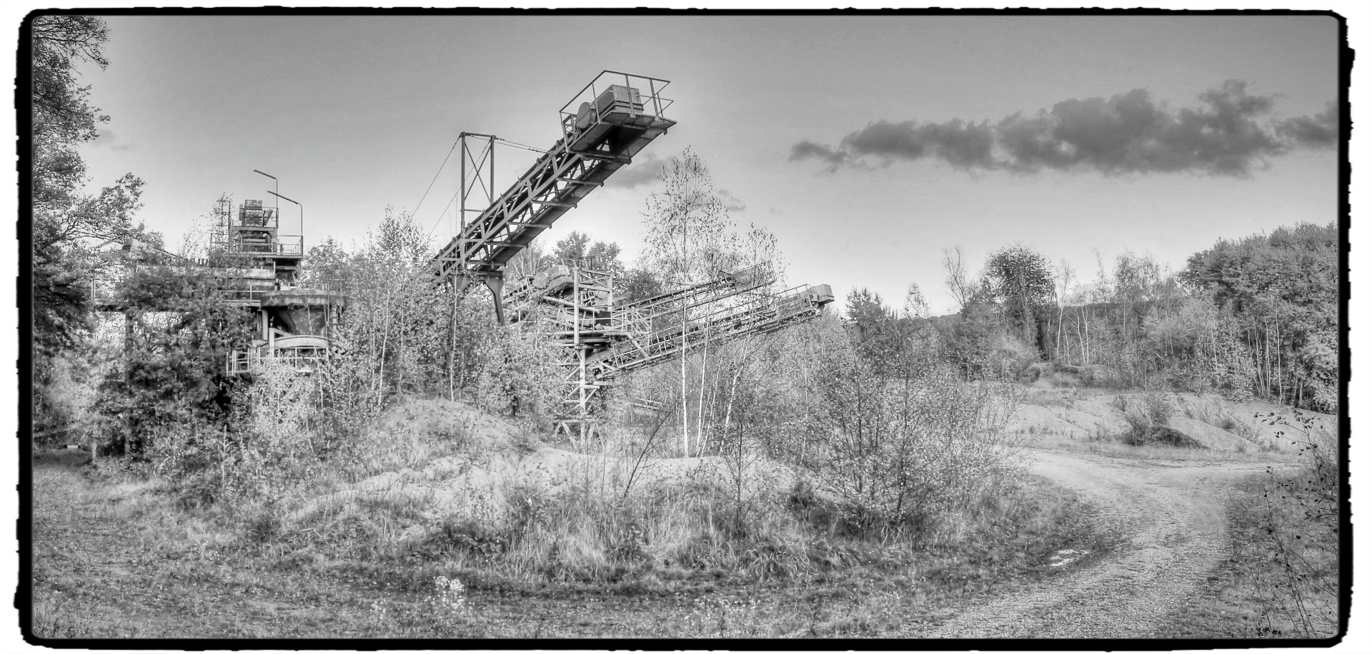 IMG_5495_Fotor.jpg