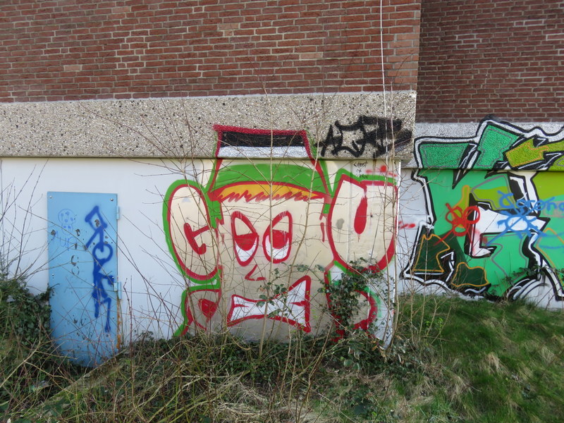 IMG_6309.JPG