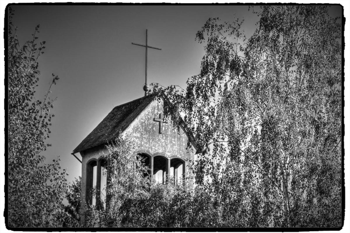 IMG_7306.jpg