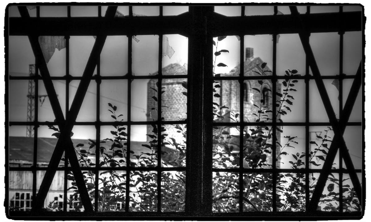 IMG_8136_Fotor.jpg