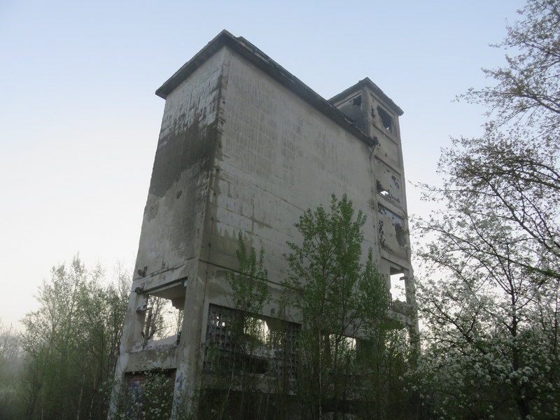 IMG_8482.JPG