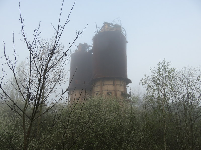 IMG_8505.JPG