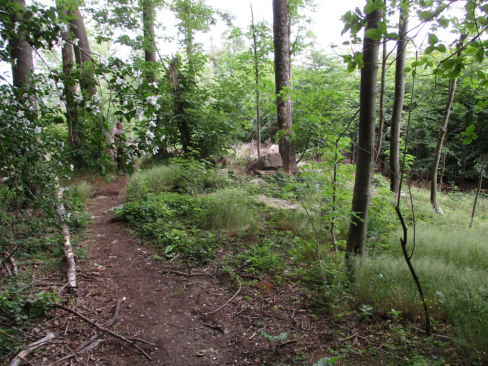 IMG_8647.jpg